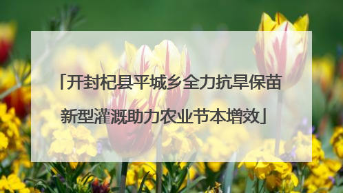 开封杞县平城乡全力抗旱保苗 新型灌溉助力农业节本增效