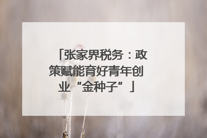 张家界税务：政策赋能育好青年创业“金种子”