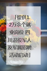 提供1.2万余个就业岗位 四川退役军人及军属招聘活动启动
