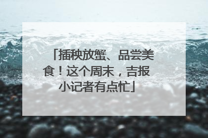 插秧放蟹、品尝美食！这个周末，吉报小记者有点忙