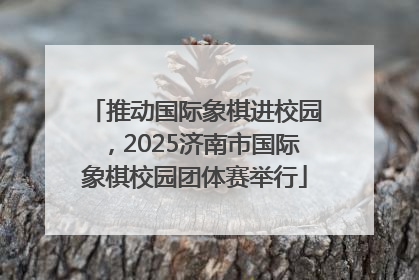 推动国际象棋进校园，2025济南市国际象棋校园团体赛举行