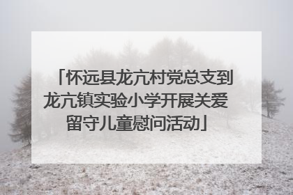 怀远县龙亢村党总支到龙亢镇实验小学开展关爱留守儿童慰问活动