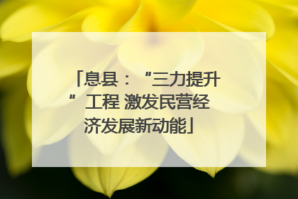 息县：“三力提升”工程 激发民营经济发展新动能