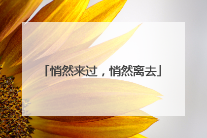 悄然来过，悄然离去