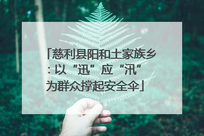 慈利县阳和土家族乡：以“迅”应“汛” 为群众撑起安全伞