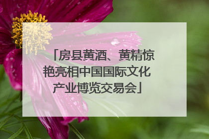 房县黄酒、黄精惊艳亮相中国国际文化产业博览交易会