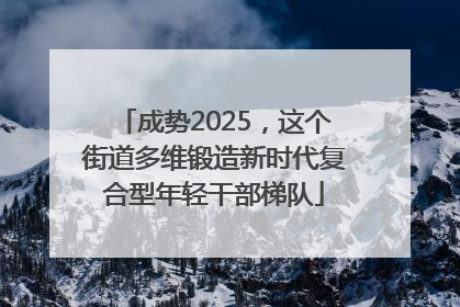 成势2025，这个街道多维锻造新时代复合型年轻干部梯队