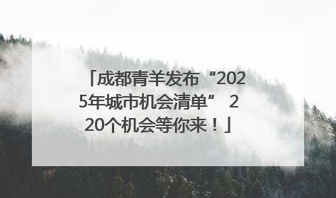 成都青羊发布“2025年城市机会清单” 220个机会等你来！