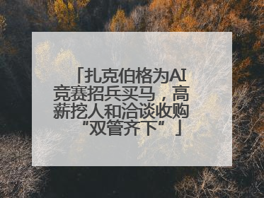 扎克伯格为AI竞赛招兵买马，高薪挖人和洽谈收购“双管齐下”
