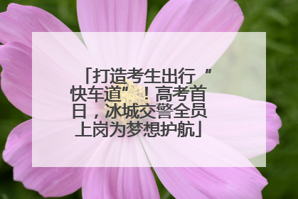 打造考生出行“快车道”！高考首日，冰城交警全员上岗为梦想护航