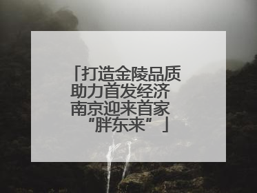 打造金陵品质 助力首发经济 南京迎来首家“胖东来”