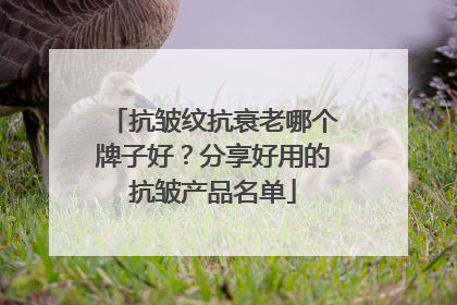 抗皱纹抗衰老哪个牌子好？分享好用的抗皱产品名单