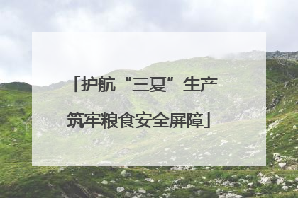 护航“三夏”生产 筑牢粮食安全屏障