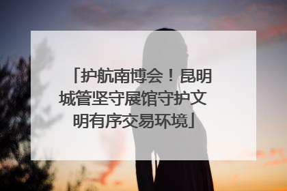 护航南博会！昆明城管坚守展馆守护文明有序交易环境