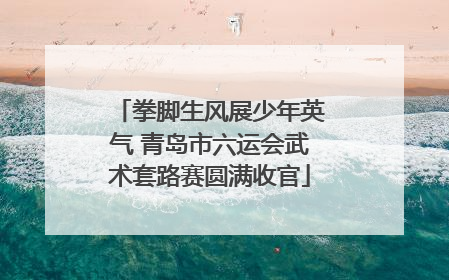 拳脚生风展少年英气 青岛市六运会武术套路赛圆满收官