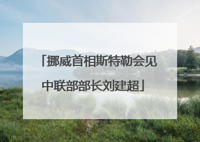 挪威首相斯特勒会见中联部部长刘建超