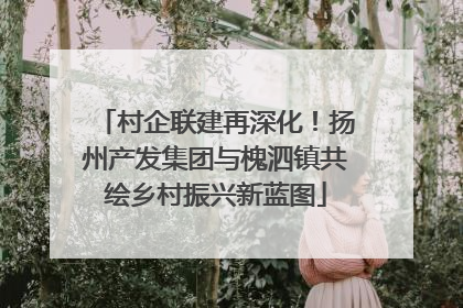 村企联建再深化！扬州产发集团与槐泗镇共绘乡村振兴新蓝图