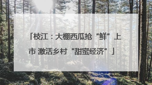 枝江：大棚西瓜抢“鲜”上市 激活乡村“甜蜜经济”