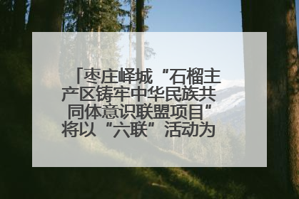 枣庄峄城“石榴主产区铸牢中华民族共同体意识联盟项目”将以“六联”活动为抓手深化品牌建设