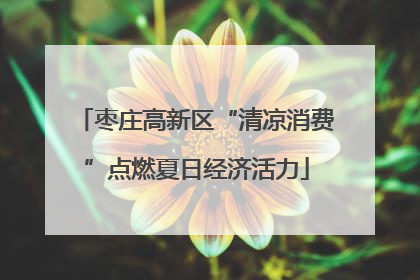 枣庄高新区“清凉消费”点燃夏日经济活力