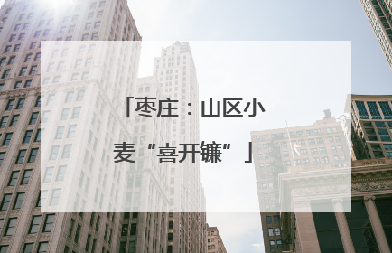 枣庄：山区小麦“喜开镰”