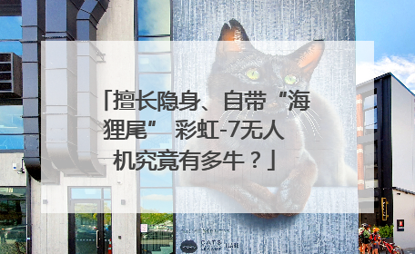 擅长隐身、自带“海狸尾” 彩虹-7无人机究竟有多牛？
