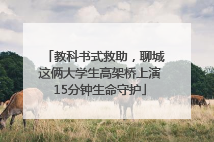 教科书式救助，聊城这俩大学生高架桥上演15分钟生命守护