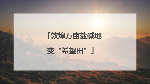 敦煌万亩盐碱地变“希望田”