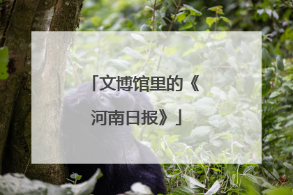 文博馆里的《河南日报》
