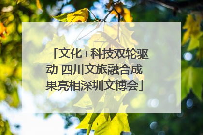 文化+科技双轮驱动 四川文旅融合成果亮相深圳文博会
