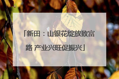 新田：山银花绽放致富路 产业兴旺促振兴