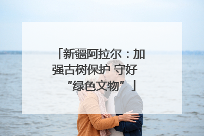 新疆阿拉尔：加强古树保护 守好“绿色文物”