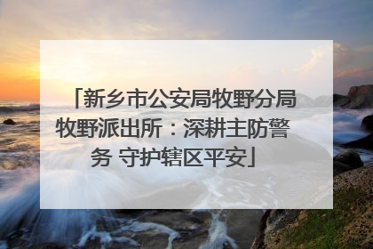 新乡市公安局牧野分局牧野派出所：深耕主防警务 守护辖区平安