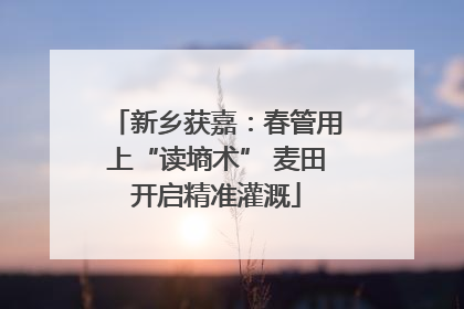 新乡获嘉：春管用上“读墒术” 麦田开启精准灌溉
