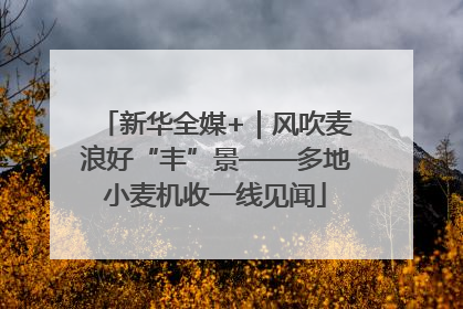 新华全媒+｜风吹麦浪好“丰”景——多地小麦机收一线见闻