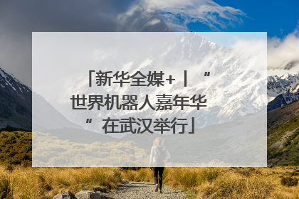新华全媒+丨“世界机器人嘉年华”在武汉举行