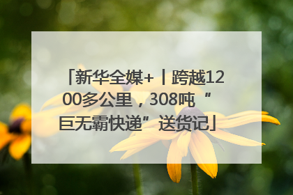 新华全媒+丨跨越1200多公里，308吨“巨无霸快递”送货记