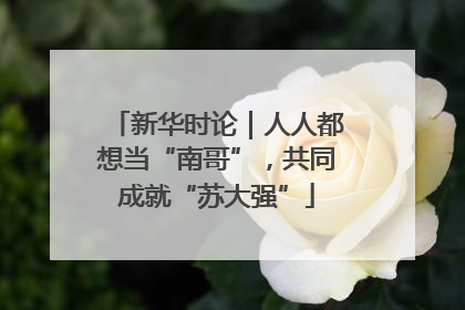 新华时论｜人人都想当“南哥”，共同成就“苏大强”