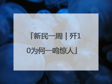 新民一周｜歼10为何一鸣惊人