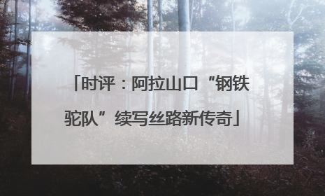 时评：阿拉山口“钢铁驼队”续写丝路新传奇