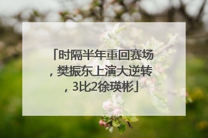 时隔半年重回赛场，樊振东上演大逆转，3比2徐瑛彬