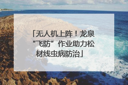 无人机上阵！龙泉“飞防”作业助力松材线虫病防治