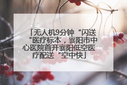 无人机9分钟“闪送“医疗标本，襄阳市中心医院首开襄阳低空医疗配送“空中快