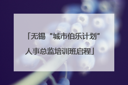 无锡“城市伯乐计划”人事总监培训班启程