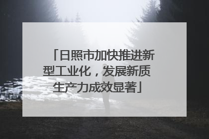日照市加快推进新型工业化，发展新质生产力成效显著