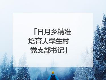 日月乡精准培育大学生村党支部书记