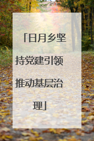 日月乡坚持党建引领推动基层治理