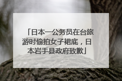 日本一公务员在台旅游时偷拍女子裙底，日本岩手县政府致歉