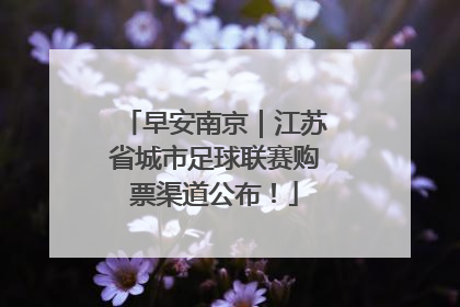 早安南京｜江苏省城市足球联赛购票渠道公布！