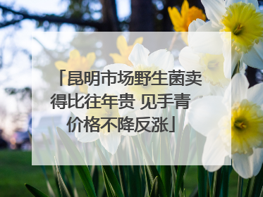 昆明市场野生菌卖得比往年贵 见手青价格不降反涨